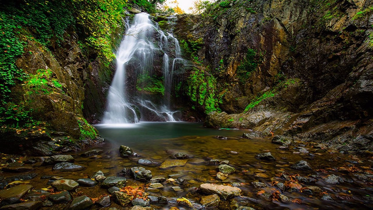 Residence Permit Details