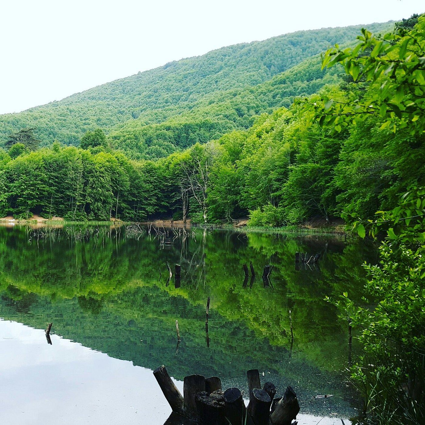 Beytturk Development
 Blog 9